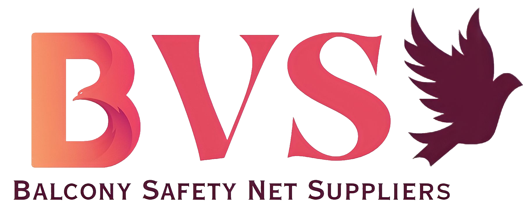 BVS Safety Nets in Andhra Pradesh